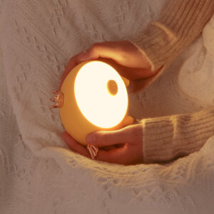 Летающая свинарная светодиодная ночной свет-милая перезаряжаемая сенсорная лампа с крыльями и короной TL-12